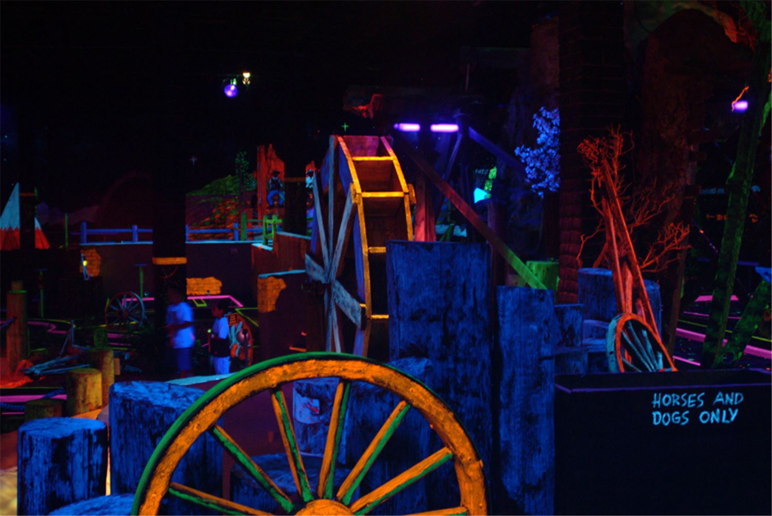 Blacklight Rental Miami, Black Light Rental